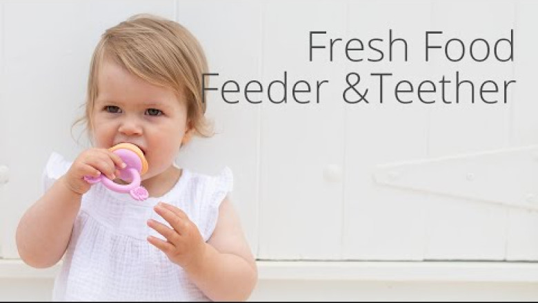Baby Fresh Food Feeder &amp; Teether - Replacement Silicone Nets 2pk
