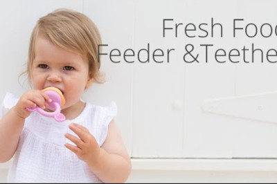Baby Fresh Food Feeder &amp; Teether - Replacement Silicone Nets 2pk